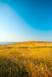 Similar image 1453243