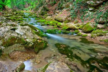 Similar image 1453245