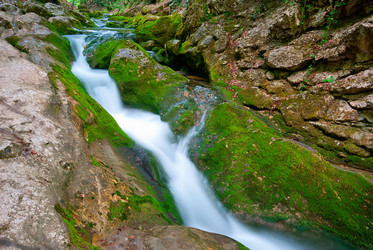 Similar image 1453246