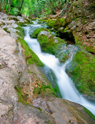 Similar image 1453247