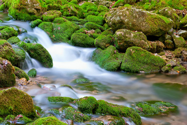 Similar image 1453248