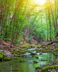 Similar image 1453249