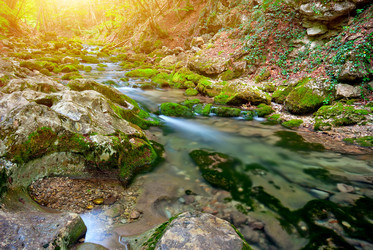 Similar image 1453250