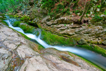 Similar image 1453253