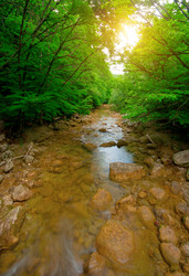 Similar image 1453255