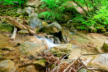 Similar image 1453258