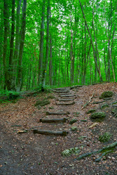 Similar image 1453259