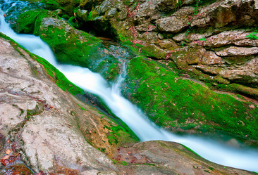 Similar image 1453261