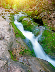 Similar image 1453262