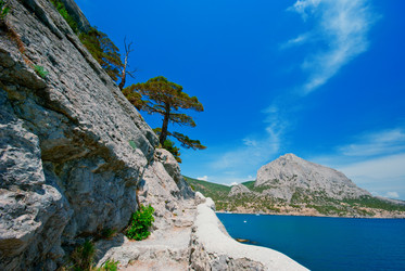 Similar image 1453265