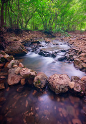 Similar image 1453275