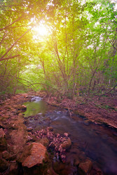 Similar image 1453280