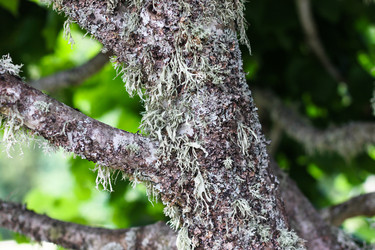 Similar image 1453339