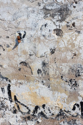 Similar image 1453344