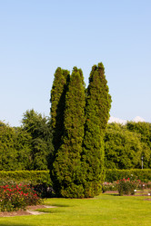 Similar image 1453360