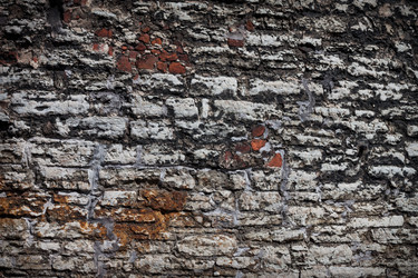 Similar image 1453372