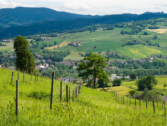 Similar image 1453410