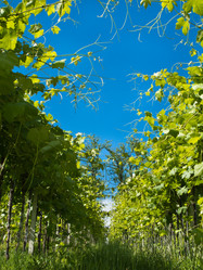 Similar image 1453411