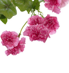 Similar image 1453467