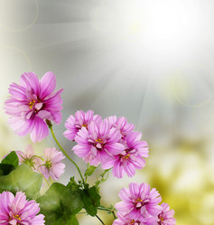 Similar image 1453469