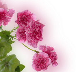 Similar image 1453471