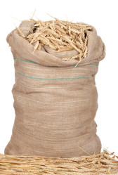 Similar image 1453490