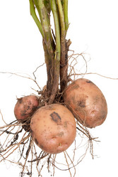 Similar image 1453492