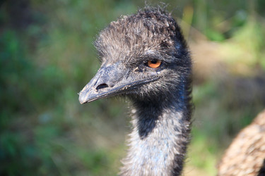 Similar image 1453503