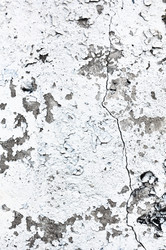 Similar image 1453506