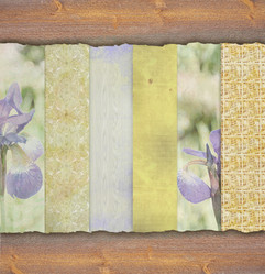 Similar image 1453511