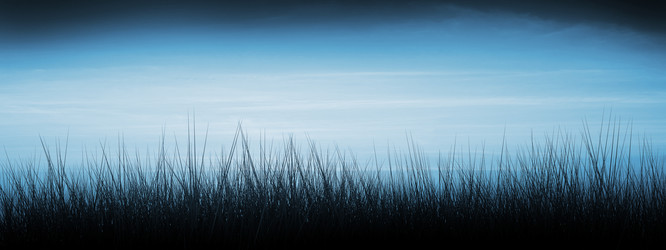 Similar image 1453550