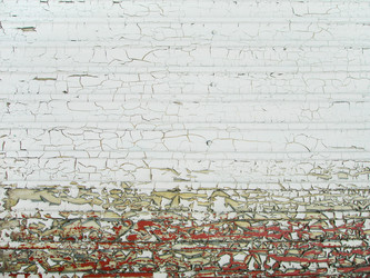 Similar image 1453564