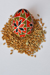 Similar image 1453579