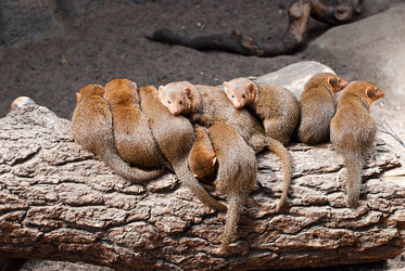 Similar image 1453599