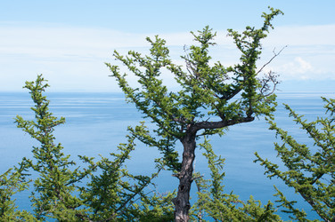 Similar image 1453610