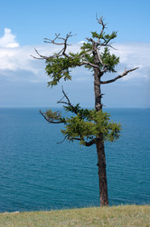 Similar image 1453612