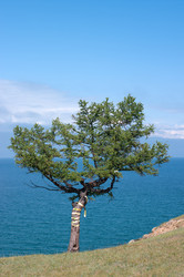 Similar image 1453613