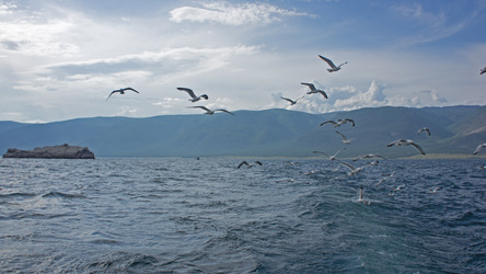 Similar image 1453618