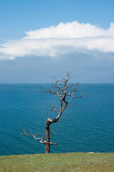 Similar image 1453621