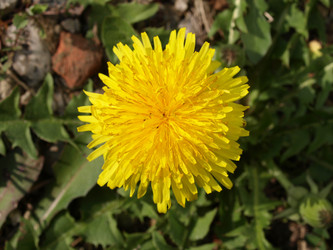 Similar image 1453638