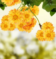 Similar image 1453651