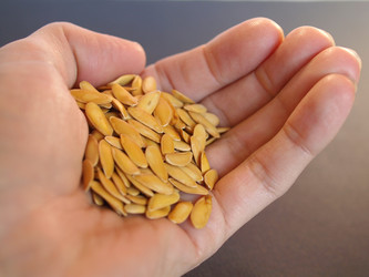 Similar image 1453768