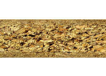 Similar image 1453794