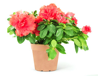 Similar image 1453831