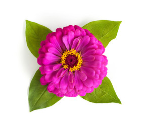 Similar image 1453886