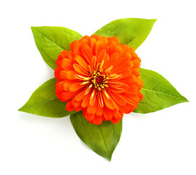 Similar image 1453887