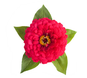 Similar image 1453888