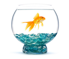 Similar image 1453926