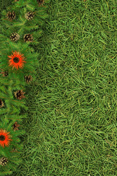 Similar image 1453964