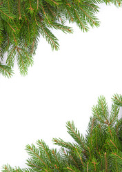 Similar image 1453972